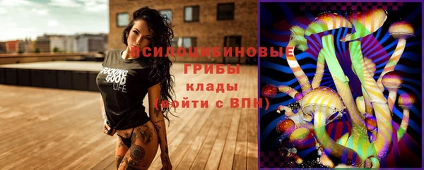 бутират Бородино