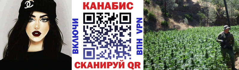 где купить наркоту Махачкала Шишки марихуана индика